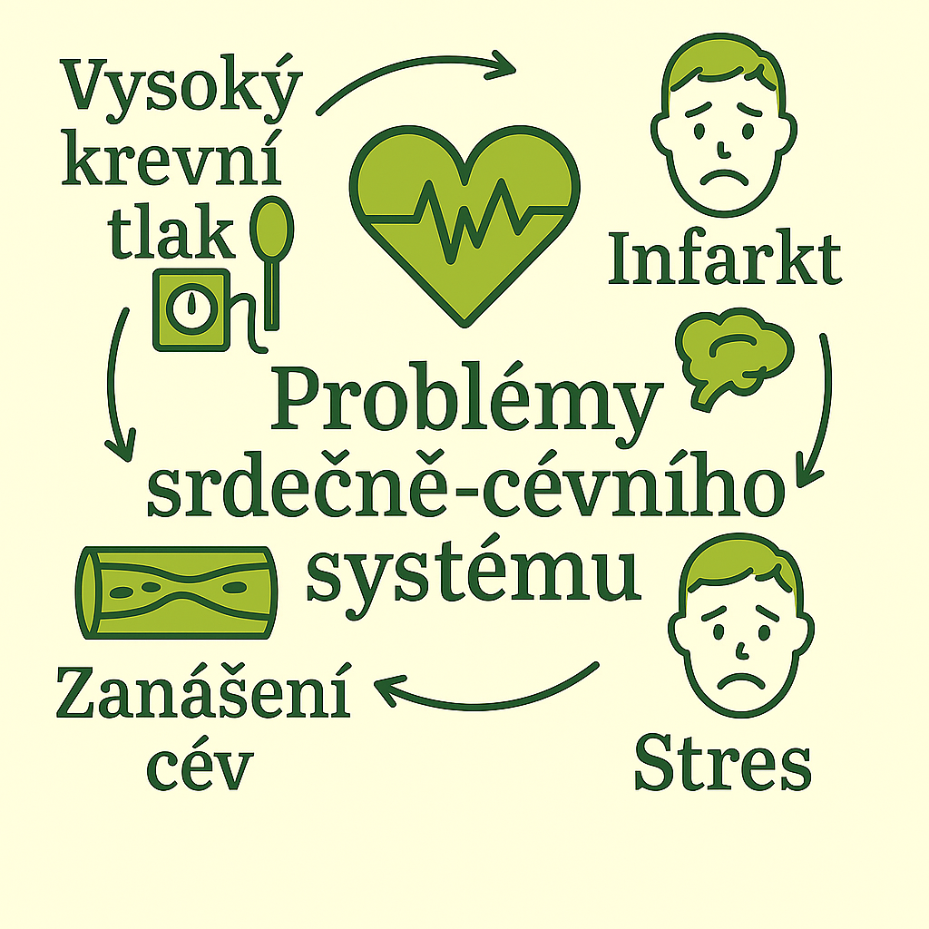 Problémy srdečně cévního systému